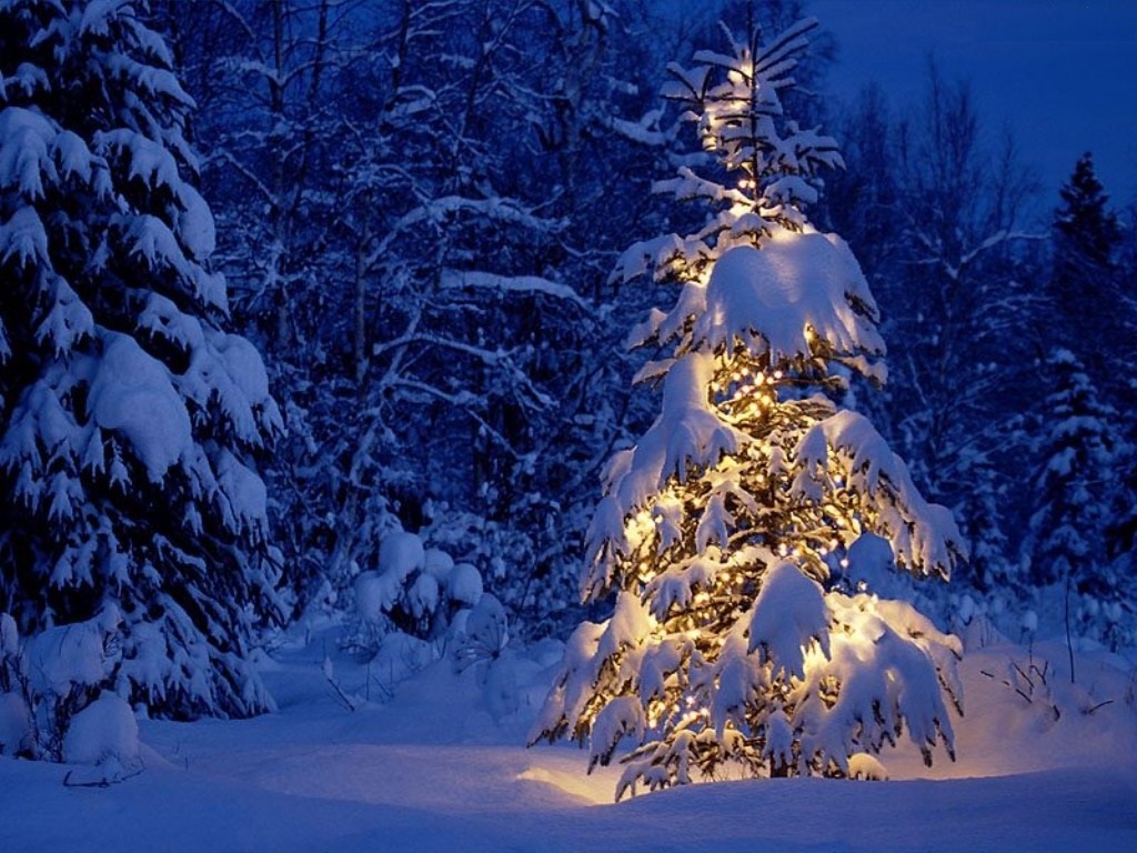 albero di natale sotto la neve